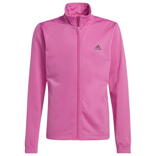 Adidas Παιδικές φόρμες σετ Essentials Big Logo Tracksuit